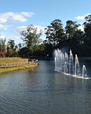 Canoas